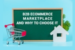 B2B eCommerce Marketplace and Why To Choose It